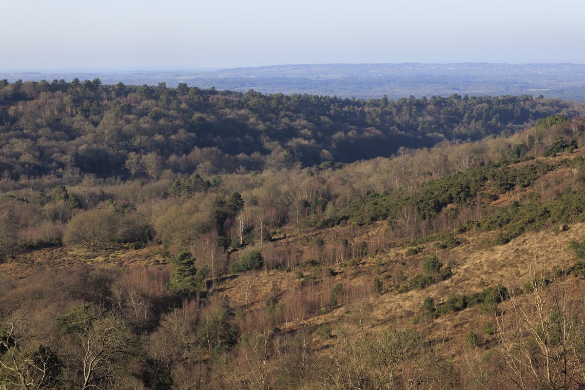 Sigma 56mm F1.4 DC DN Contemporary image gallery: an expansive view of hills and trees