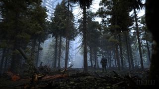 Stalker 2 forest scene
