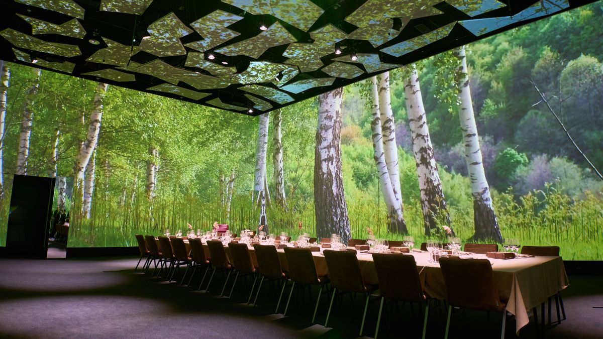 Screenberry media servers and Datapath Fx4 video wall controllers combine for immersive MOVE 5D live theater creating a forest scene for diners. 