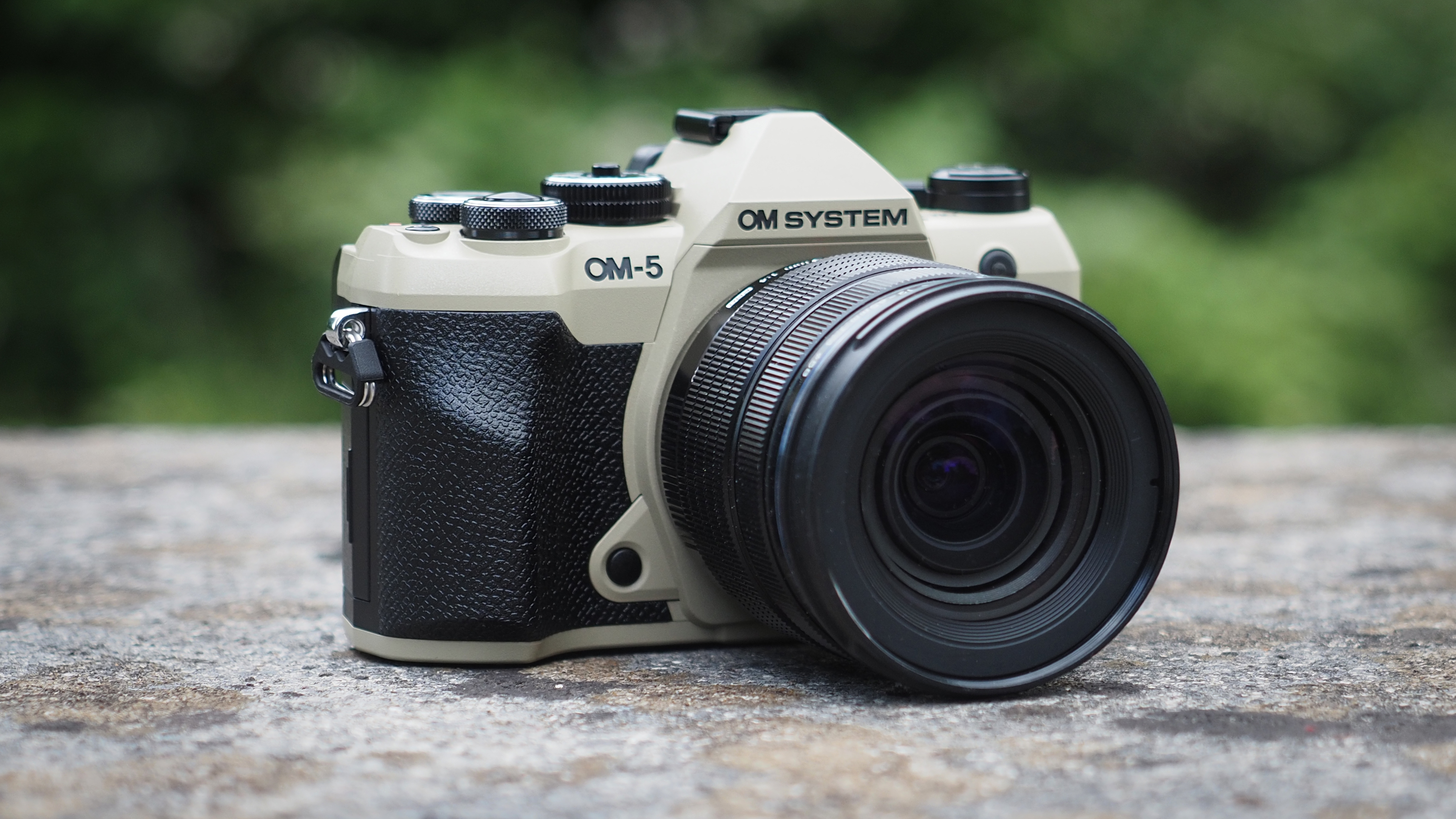 OM System OM-5 Mark II, with the Olympus M.Zuiko 12-45mm f/4 Pro lens, outdoors in woodland