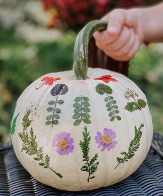 Easy no-carve pumpkin ideas with pressed summer flowers decoupaged in a regular pattern on a white pumpkin