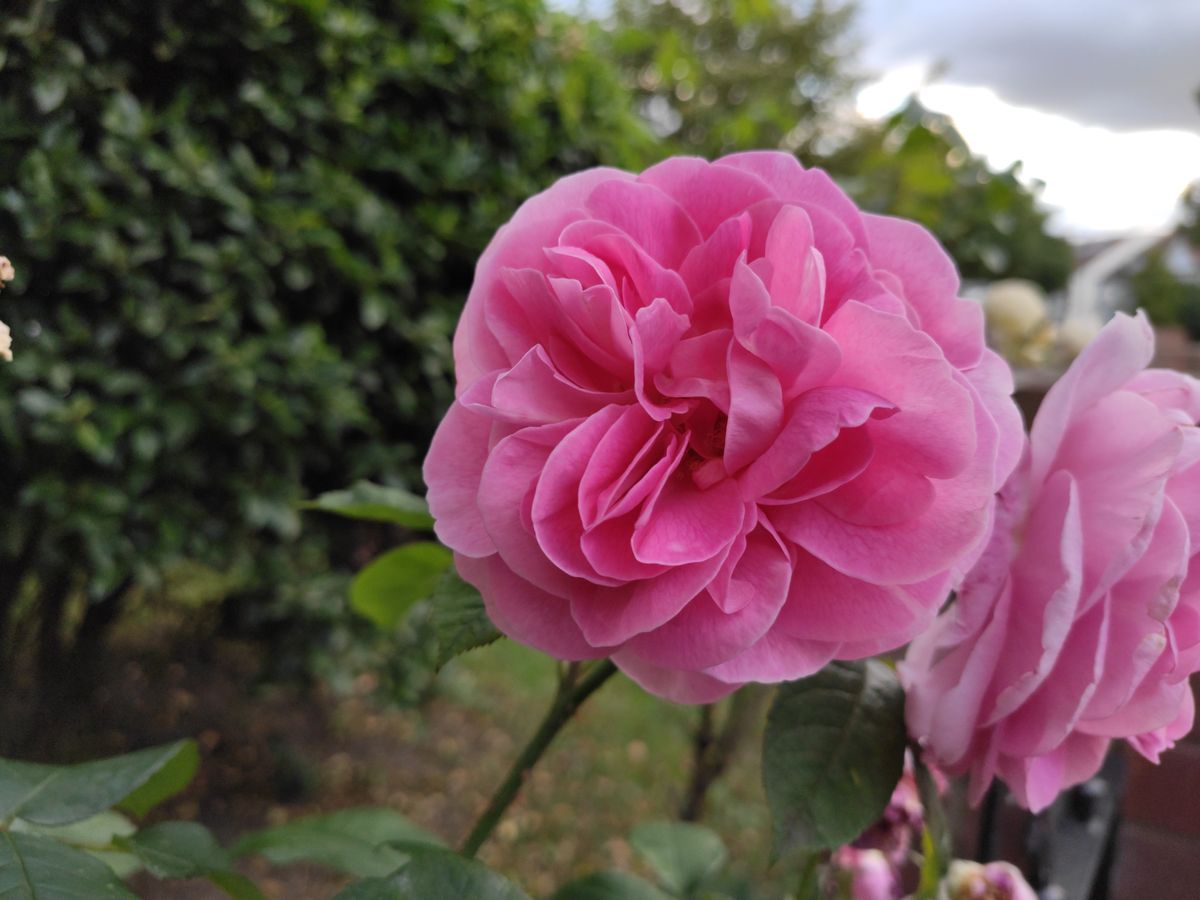 When there's a lot of available light, bumping up the resolution to 48MP grabs even more detail. Image credit: TechRadar