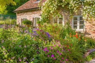 cottage garden with floral planting