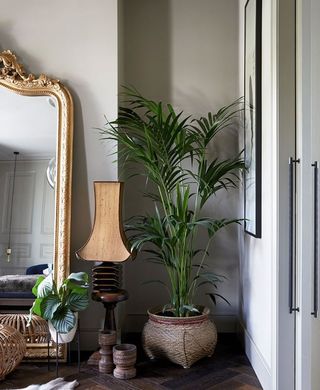 why not let plants do what they do best – and that’s looking great and absorbing toxins in your home.