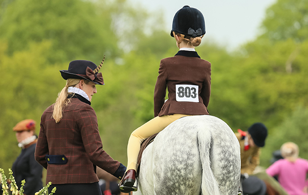 show-hunter-pony2.jpeg