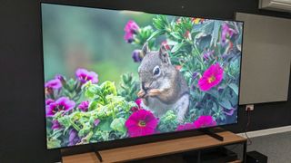 Samsung CU8000 with squirrel on screen
