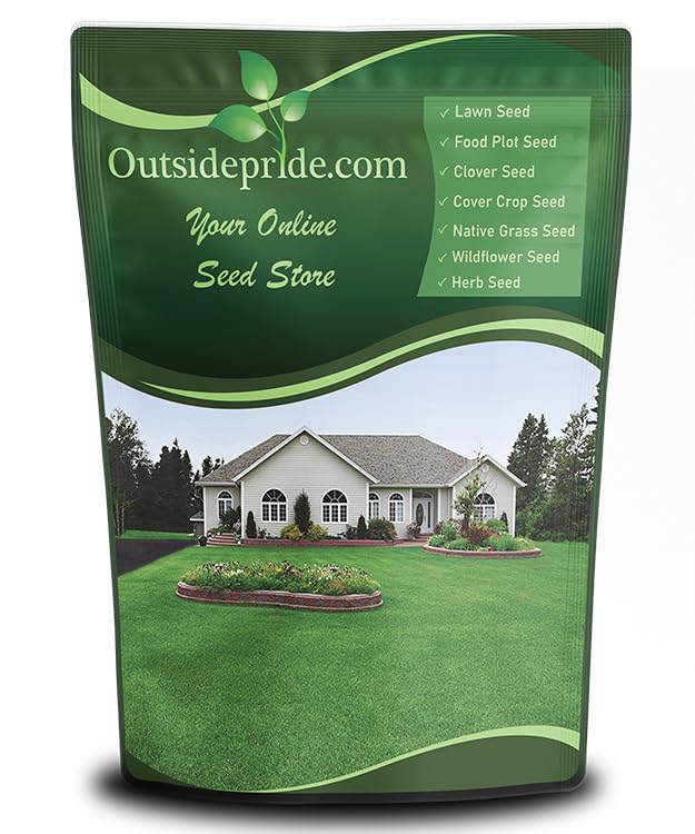 Outsidepride Perennial Buffalo Grass Seed - 2 Lbs Heat &amp;amp; Drought Tolerant, Low Maintenance, Warm Season Dense Turf Grass Seed for Lawn, Xeriscape Landscaping, &amp;amp; Roadside Planting
