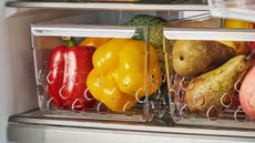 A clear plastic fridge organizer with air flow holes in the base, filled with bright bell peppers on a fridge shelf