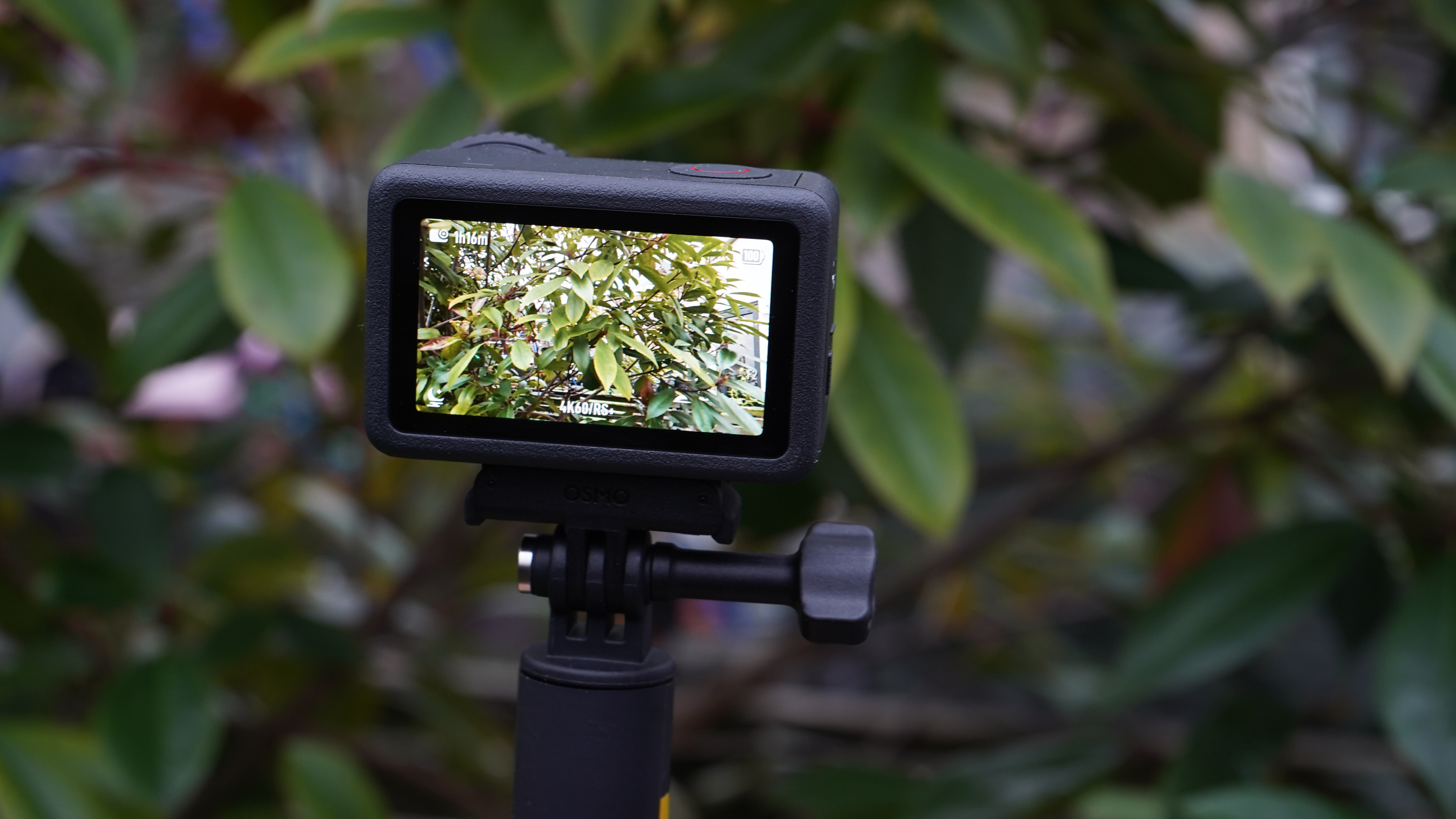 Rear screen of DJI Osmo Action 6