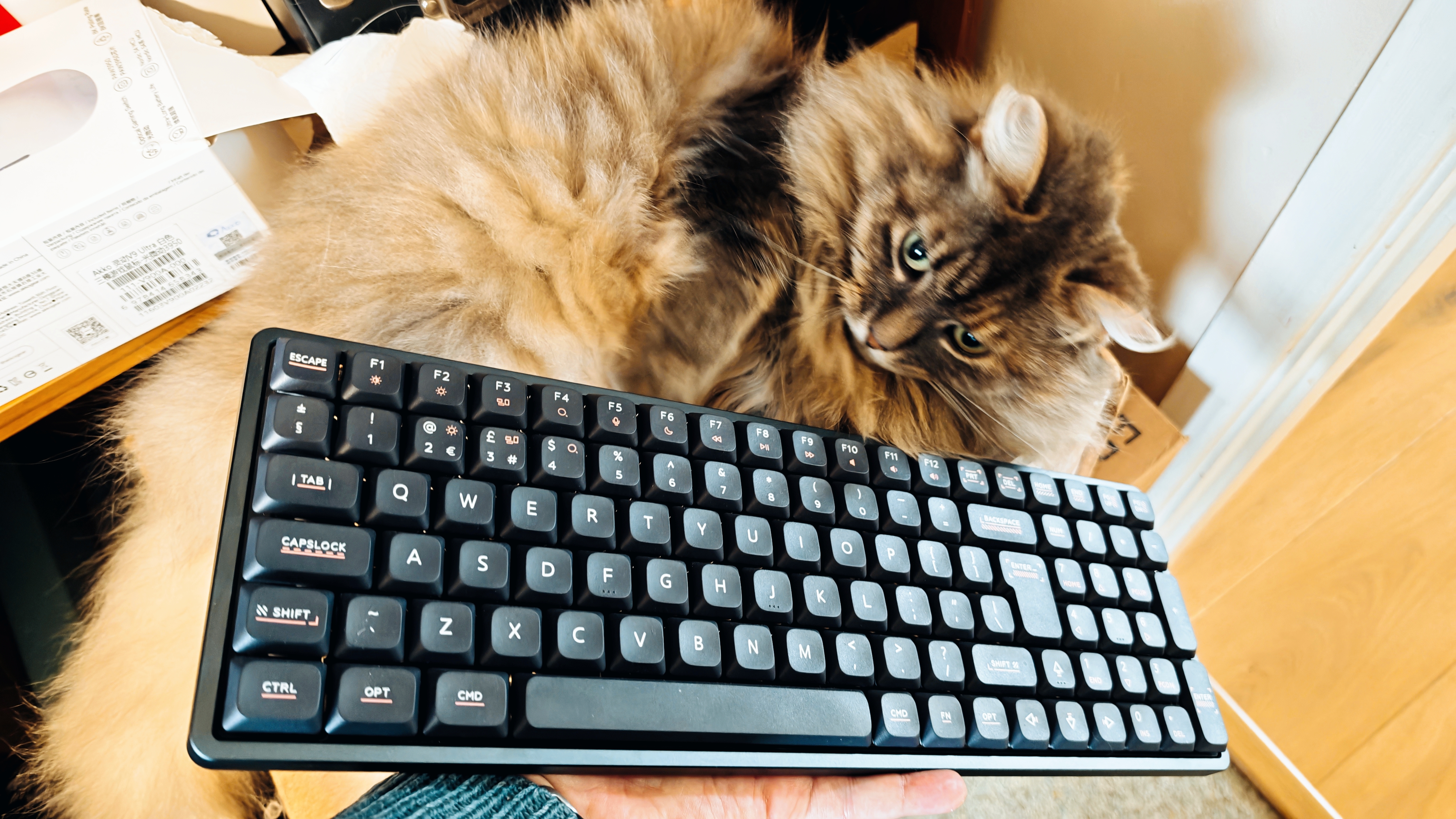 Say hello to your new dream keyboard