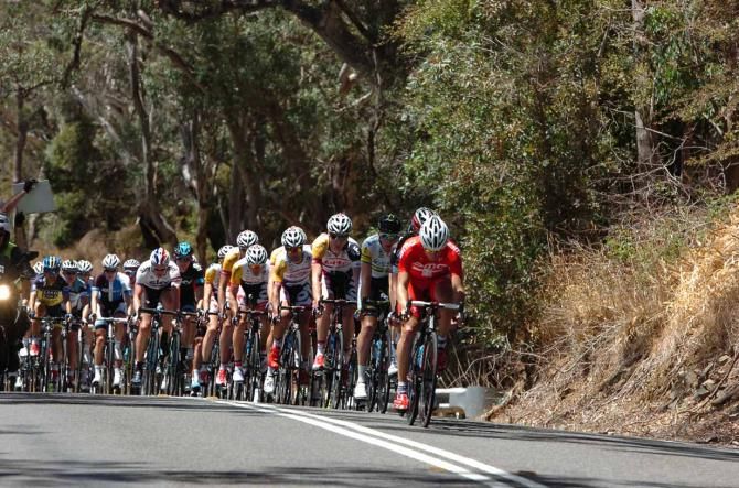 Martin Kohler (BMC) powers the peloton.