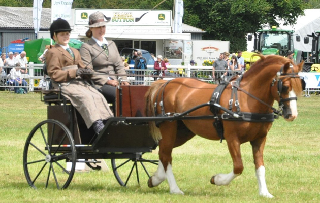 Jack Kedward, 11, Junior Show Champion