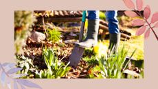 picture of woman digging in a flower border in garden