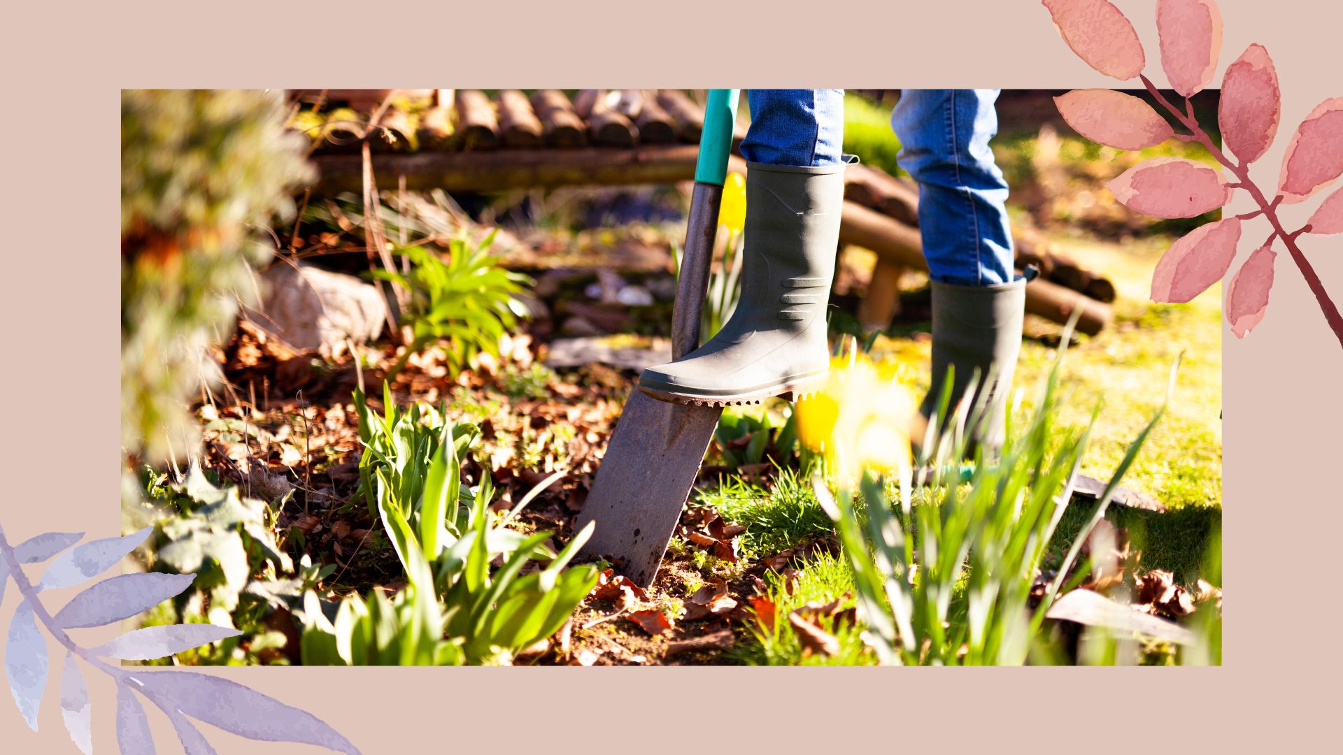picture of woman digging in a flower border in garden