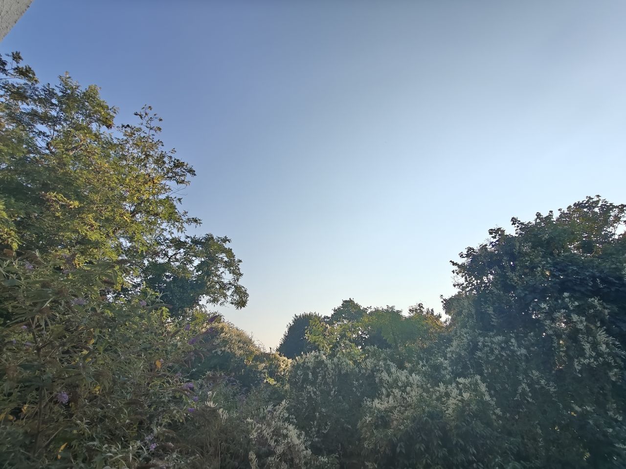OnePlus Nord 4 camera sample