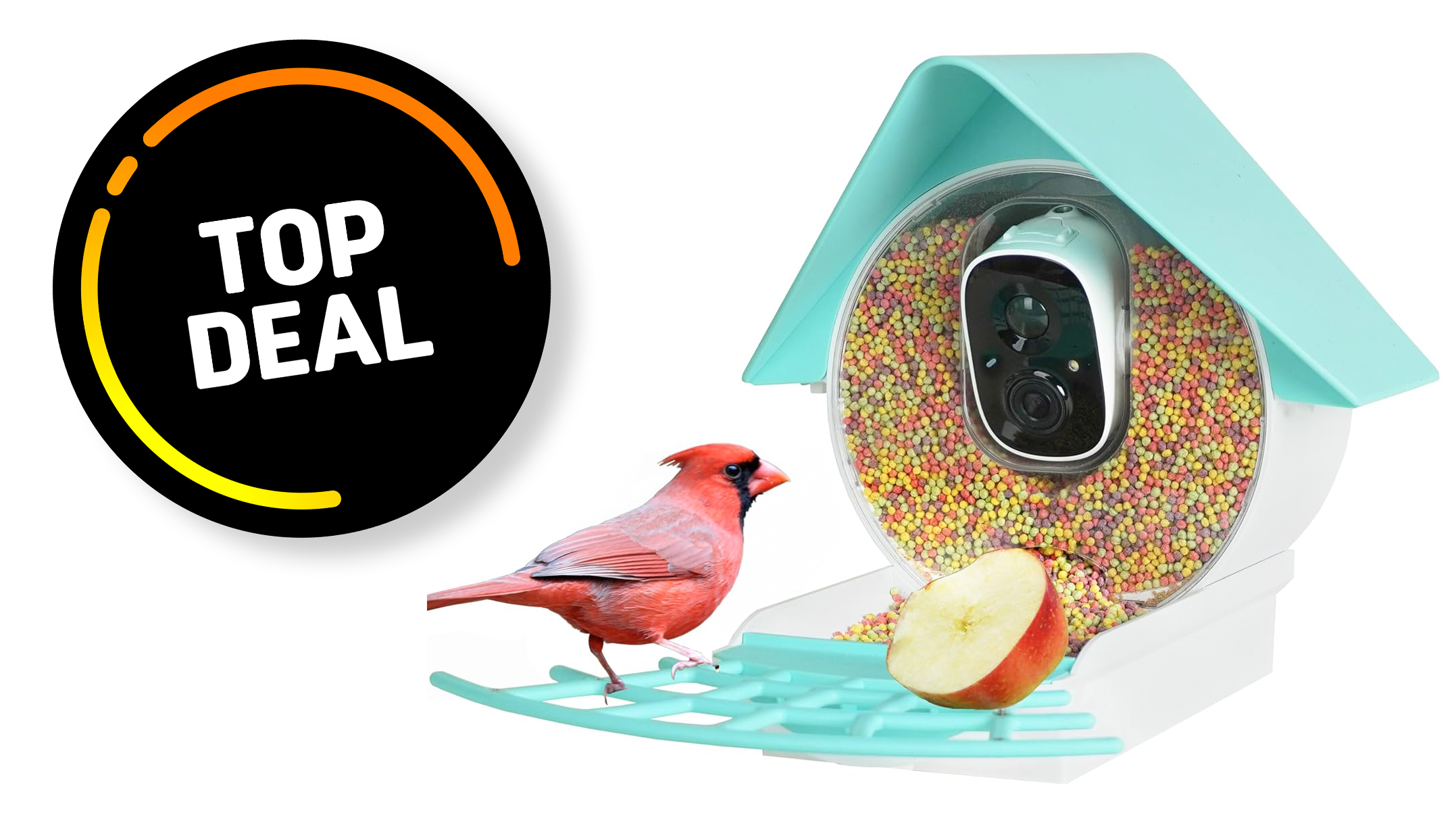 Birdkiss smart bird feeder