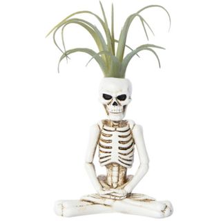 Yoga skeleton faux succulent decoration