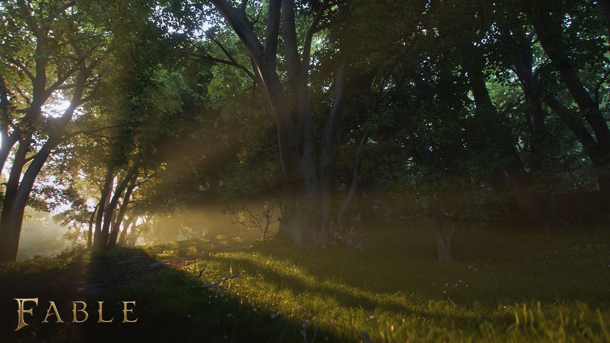 Fable 4 gameplay screenshot