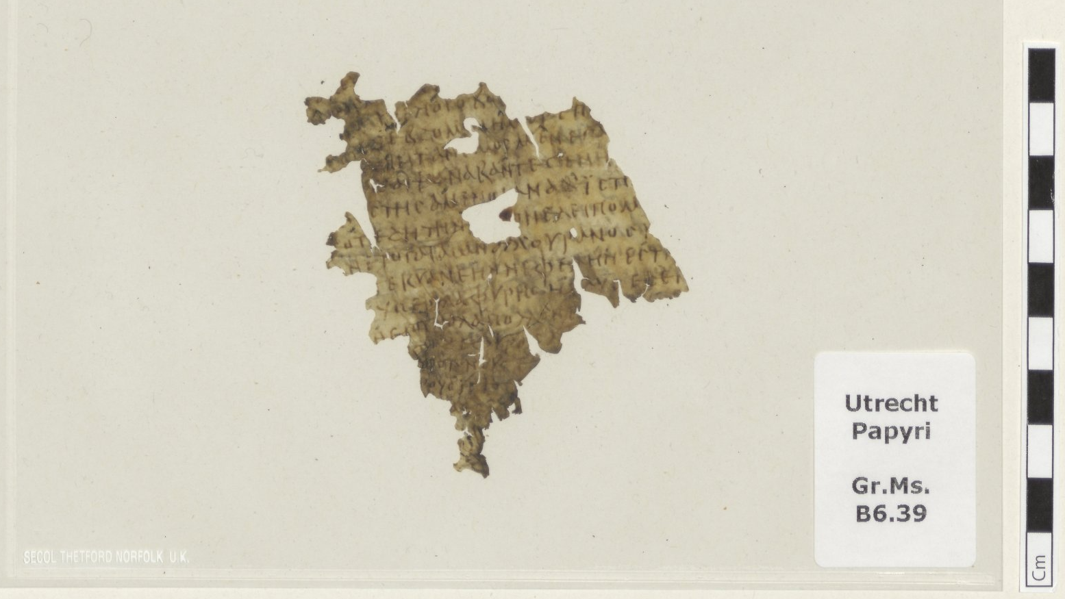 1,700-year-old fragment of the 'Odyssey' discovered in Dutch library