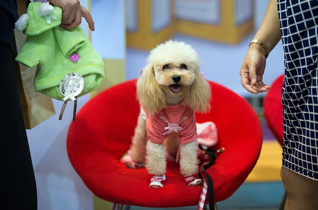Why we call our kids by our dog's name by accident.