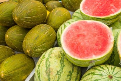watermelon varieties