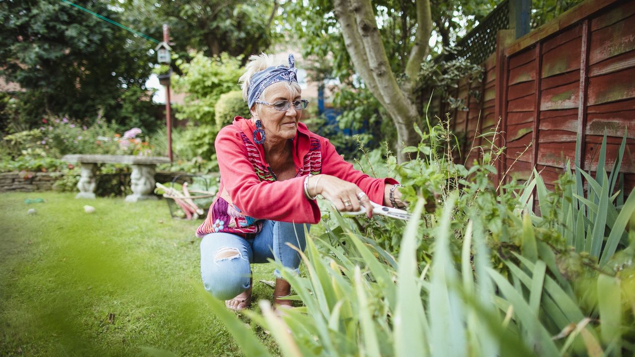 An older woman tends to her garden.