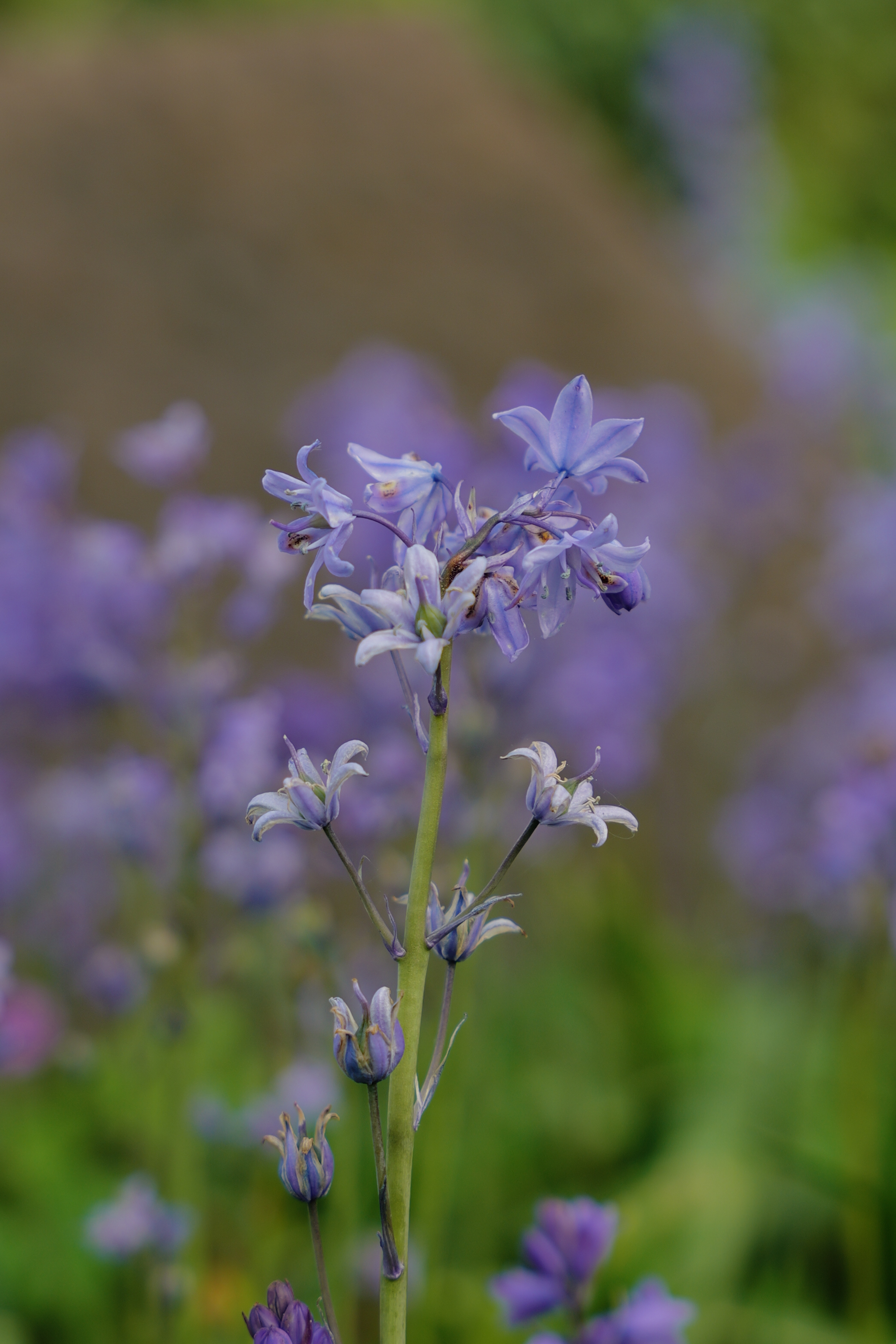 A photo taken on a Leica SL3-S mirrorless camera