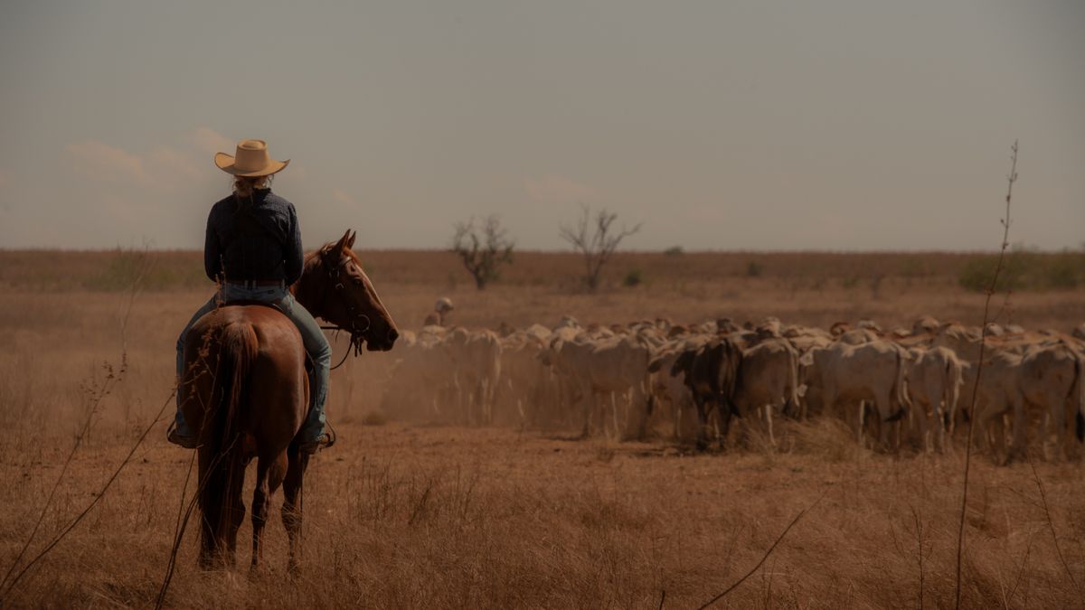 Netflix có câu trả lời cho Yellowstone và bạn có thể phát trực tuyến ngay bây giờ