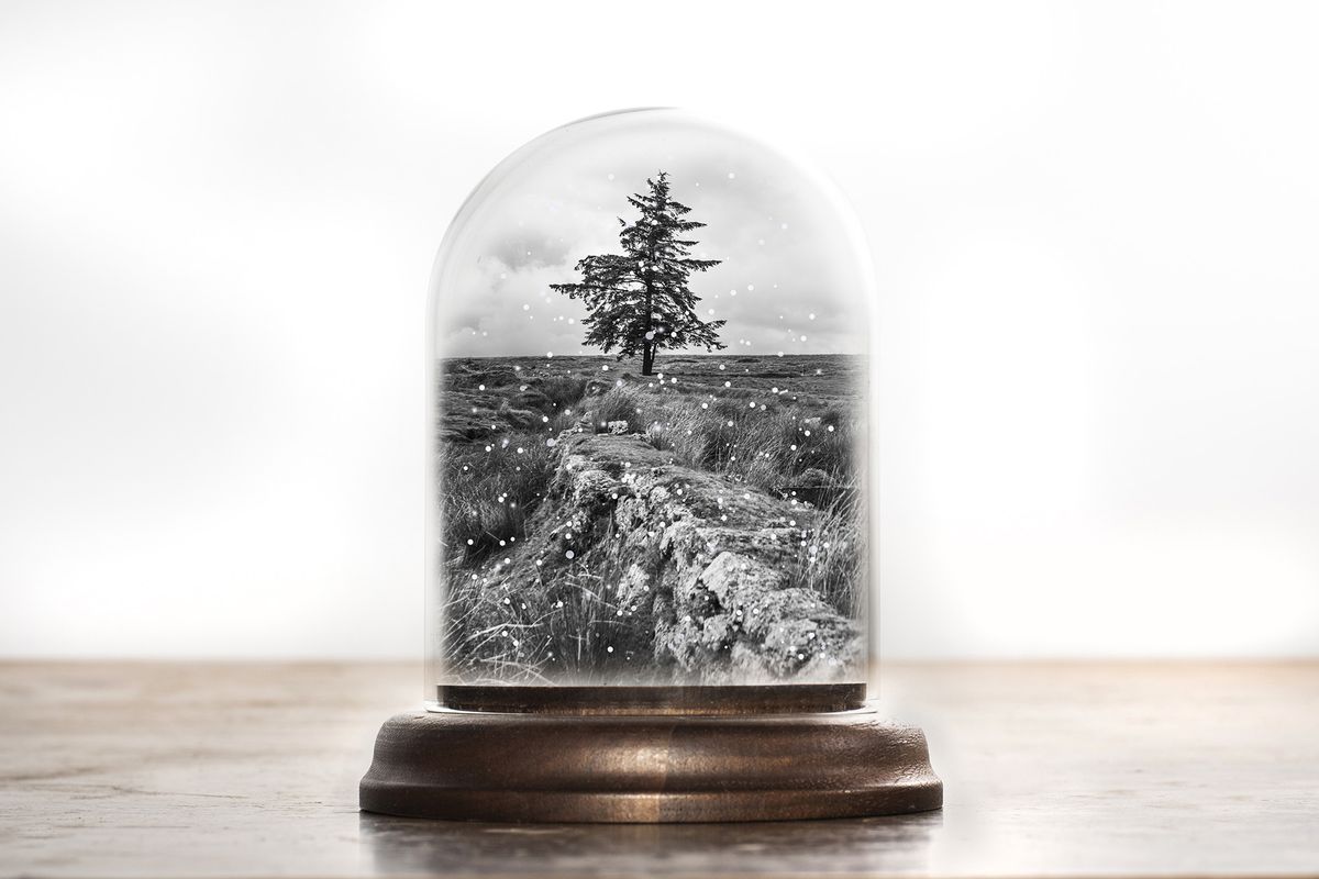 Use one of your own photos to make a seasonal snow globe 