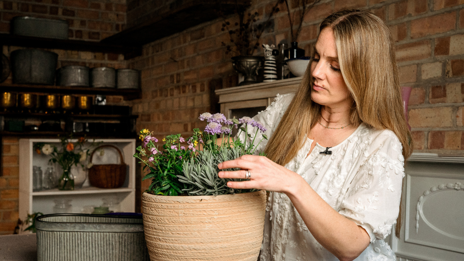 Woman planting up a large terracotta pot with scabious and wallflower