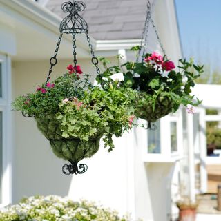 exterior of house with hanging basket and flowering plants