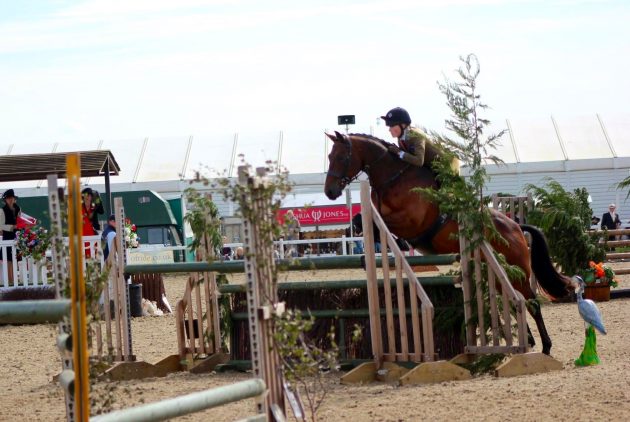 Lucy and Cash in the Desert Orchid at the BSPS Summer Champs