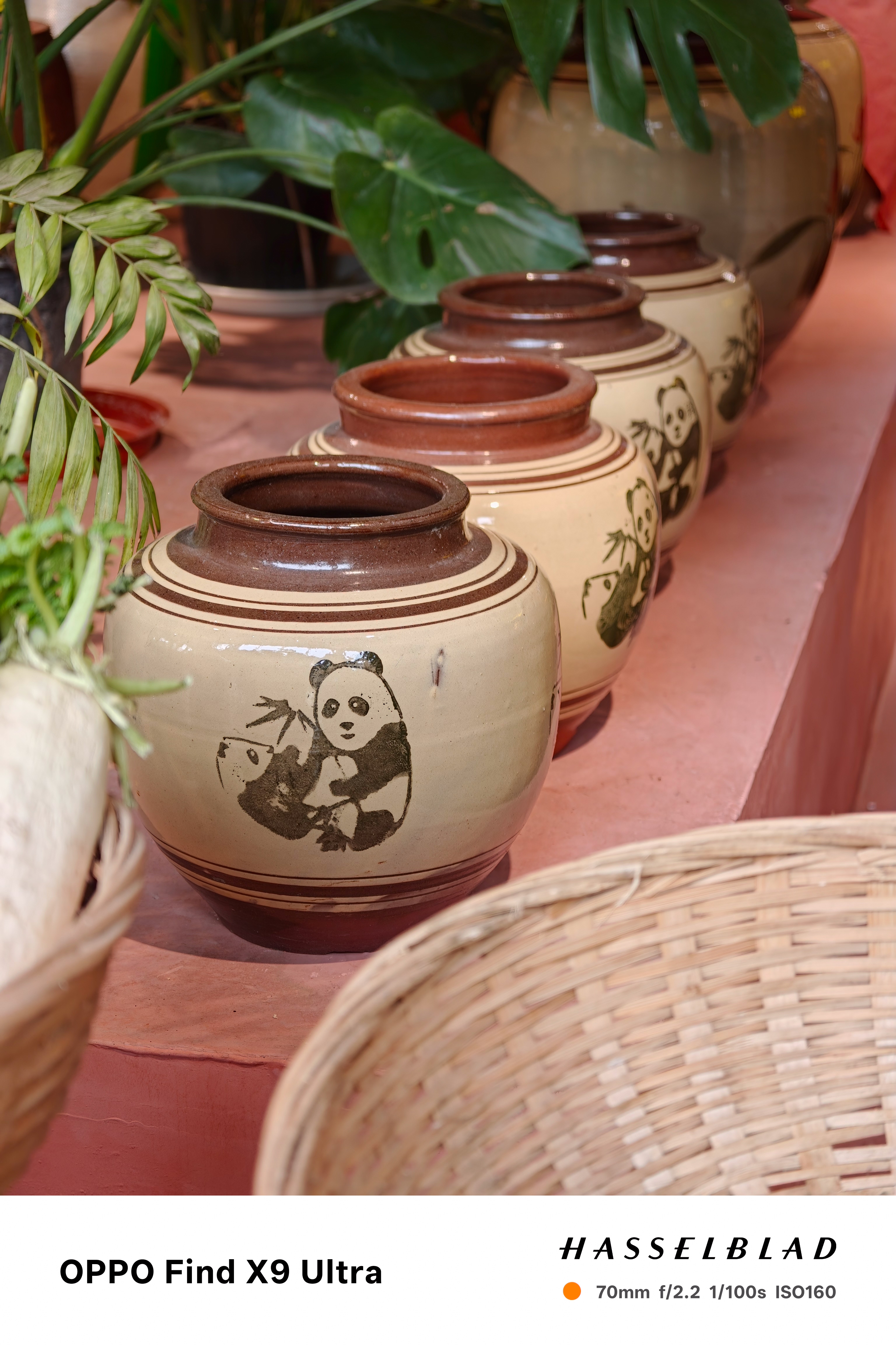 Row of ceramic jars decorated with panda illustrations on a pink shelf