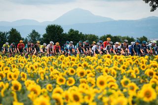 Picture by Alex WhiteheadSWpixcom 12072023 Cycling 2023 Tour de France Stage 11 ClermontFerrand to Moulins 1798km The peloton in the shadow of Puy de Dome