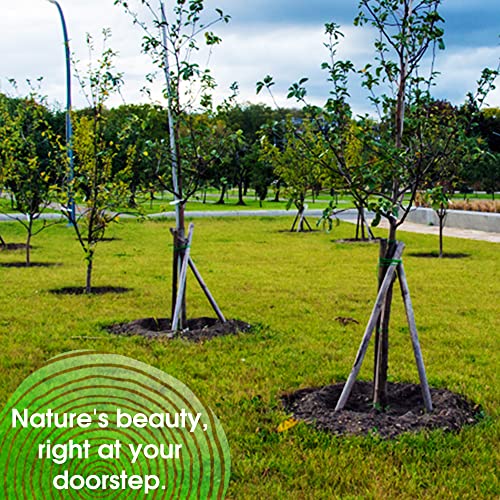Homatz 5 Pack Round Wooden Tree Stakes for Garden - Treated &amp;amp; Pointed Stakes for Plant &amp;amp; Tree Support Thick Wooden Pegs, 50mm Thick, 1.2m Height