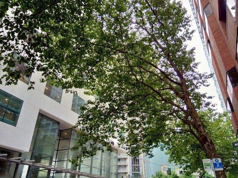 Nokia 3.1 photo sample