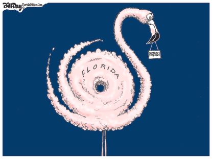 Editorial Cartoon U.S. Florida Flamingo Prepare For Hurricane Dorian