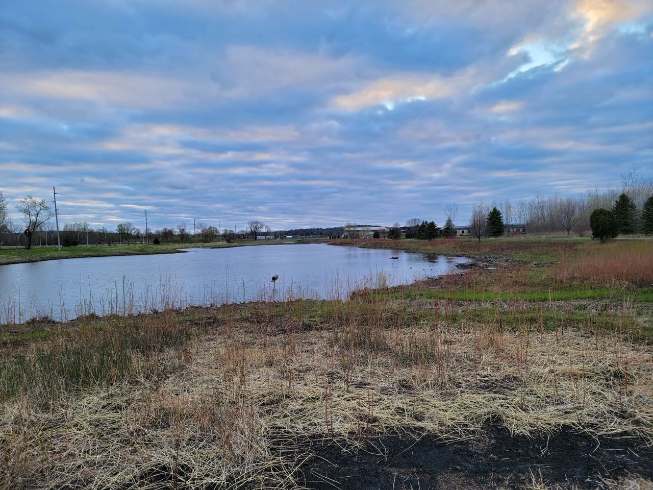 Samsung Galaxy S21 Ultra camera samples