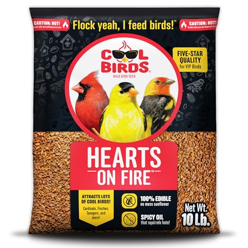 Cool Birds Hearts on Fire Hot Bird Seed &amp;ndash; 10 Lb. 100% Hulled Sunflower Hearts With Chili Pepper Oil &amp;ndash; No Waste Bird Seed for Outside Feeders