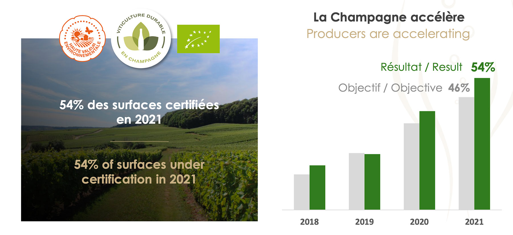 Champagne-vineyard-cert.jpg