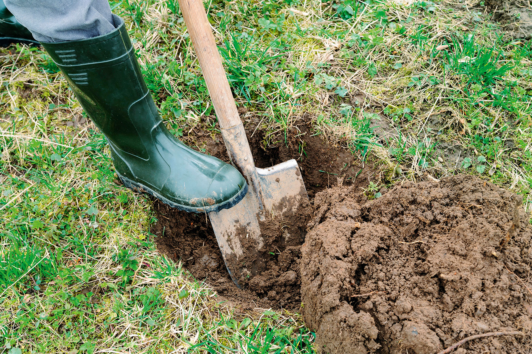 Digging a hole to plant