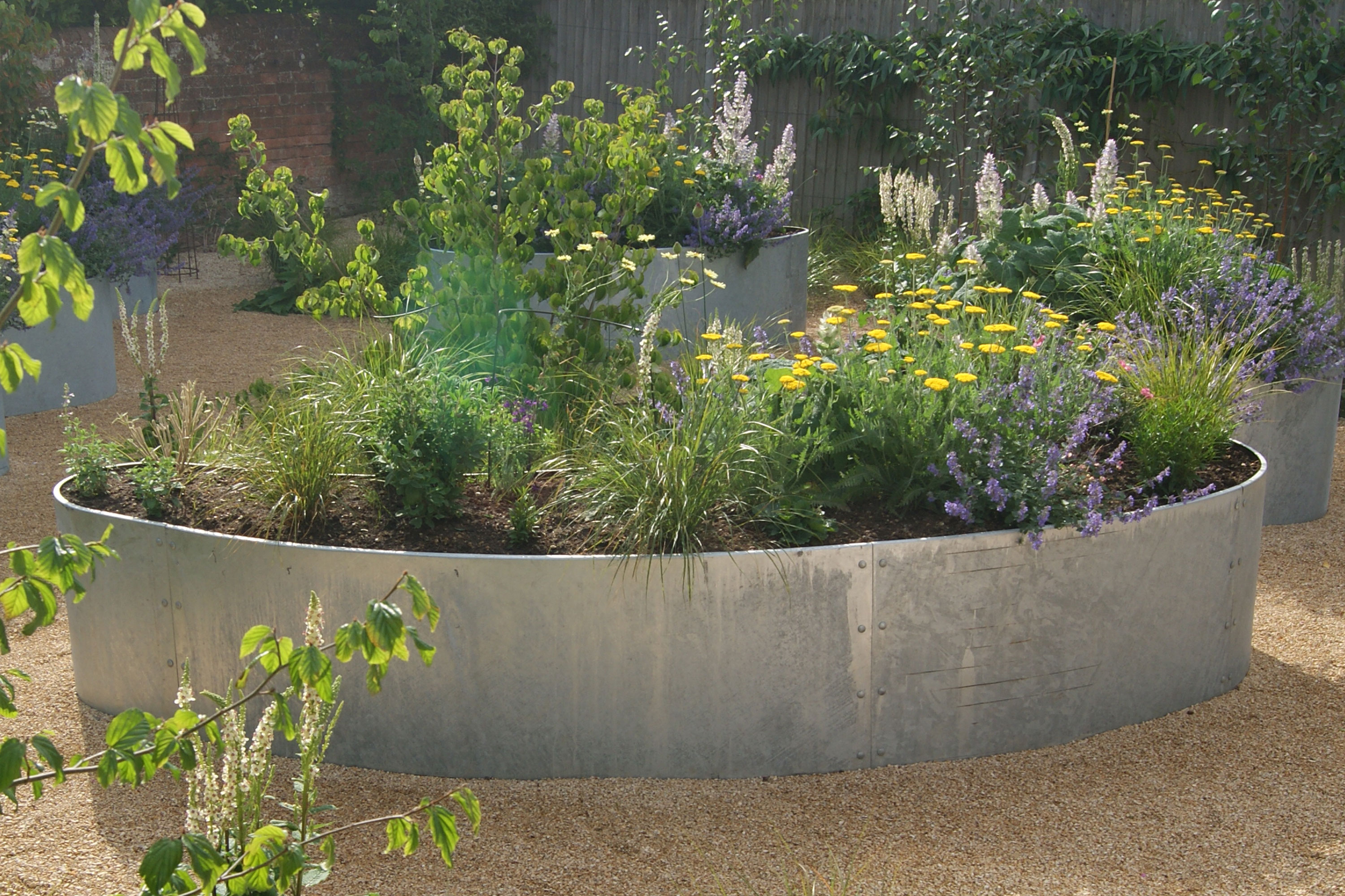 series of planters with Mediterranean planting in a gravel garden