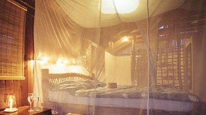 mosquito net over bed