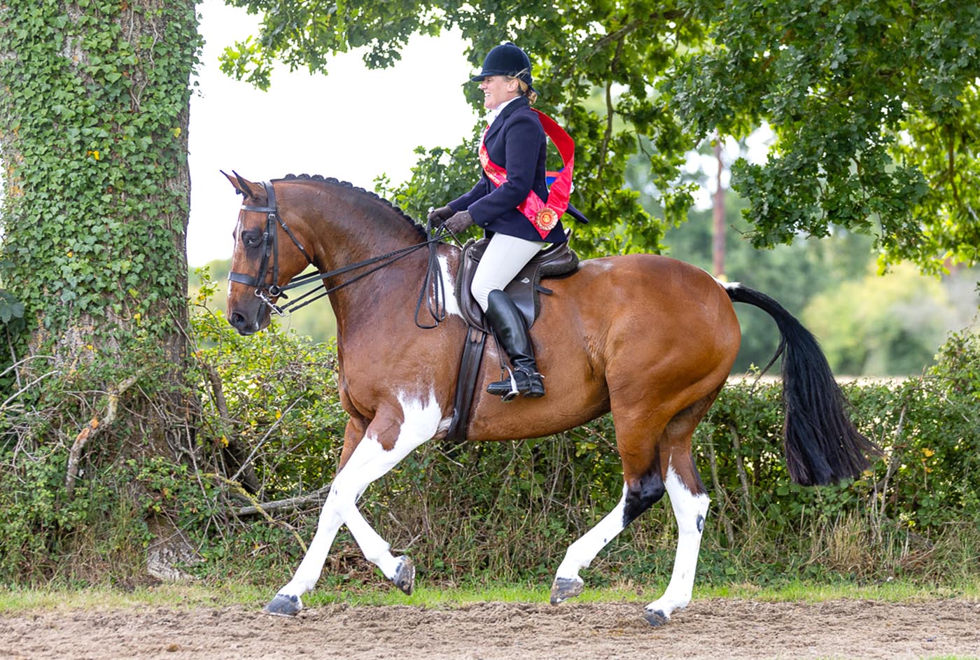 Penny Williamson and Ottawa take a win in the BSPA Merrigan Memorial Skewbald &amp;amp; Piebald Amateur &amp;amp; Home Produced Championship at the 2025 Agria Royal International