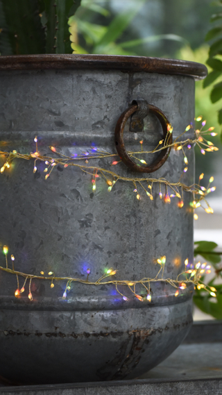 plant pot decorated with small Christmas lights