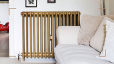 neutral living room with a brass cast iron radiator