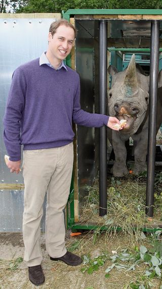 Prince William with a rhino in Tanzania