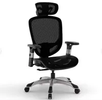 Staples  Hyken Chair