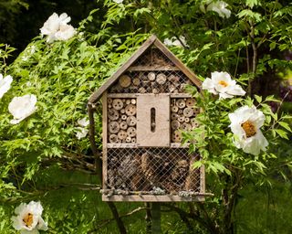 bug hotel surrounded by flowers in bloom