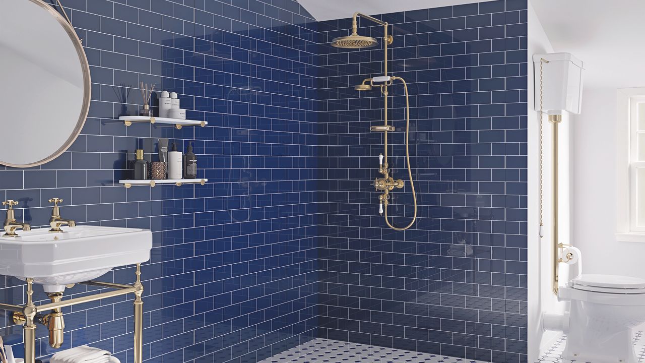 Navy blue shower room with open shower